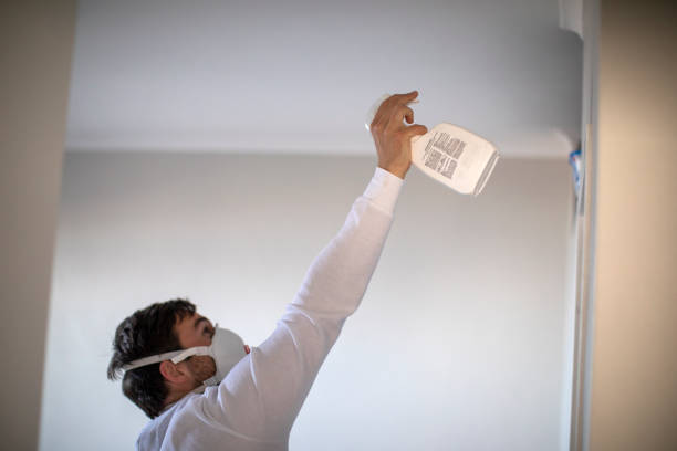 Best Mold Testing  in Cedar Heights, MD
