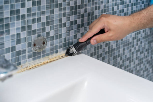 Home Mold Removal in Cedar Heights, MD