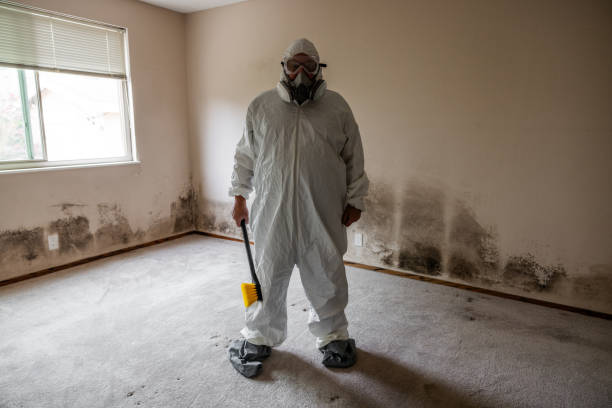 Best Black Mold Removal  in Cedar Heights, MD